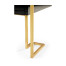 Gilded Iron Coffee Table in Smoky Black