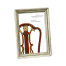 Silvered Picture Frame (5