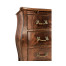 Mahogany Bombé Chest