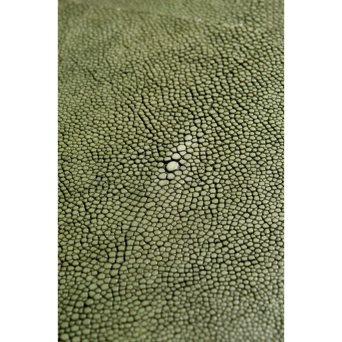 Green Faux Shagreen Gilded Side Table