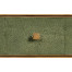 Green Faux Shagreen Coffee Table with Gilded Base
