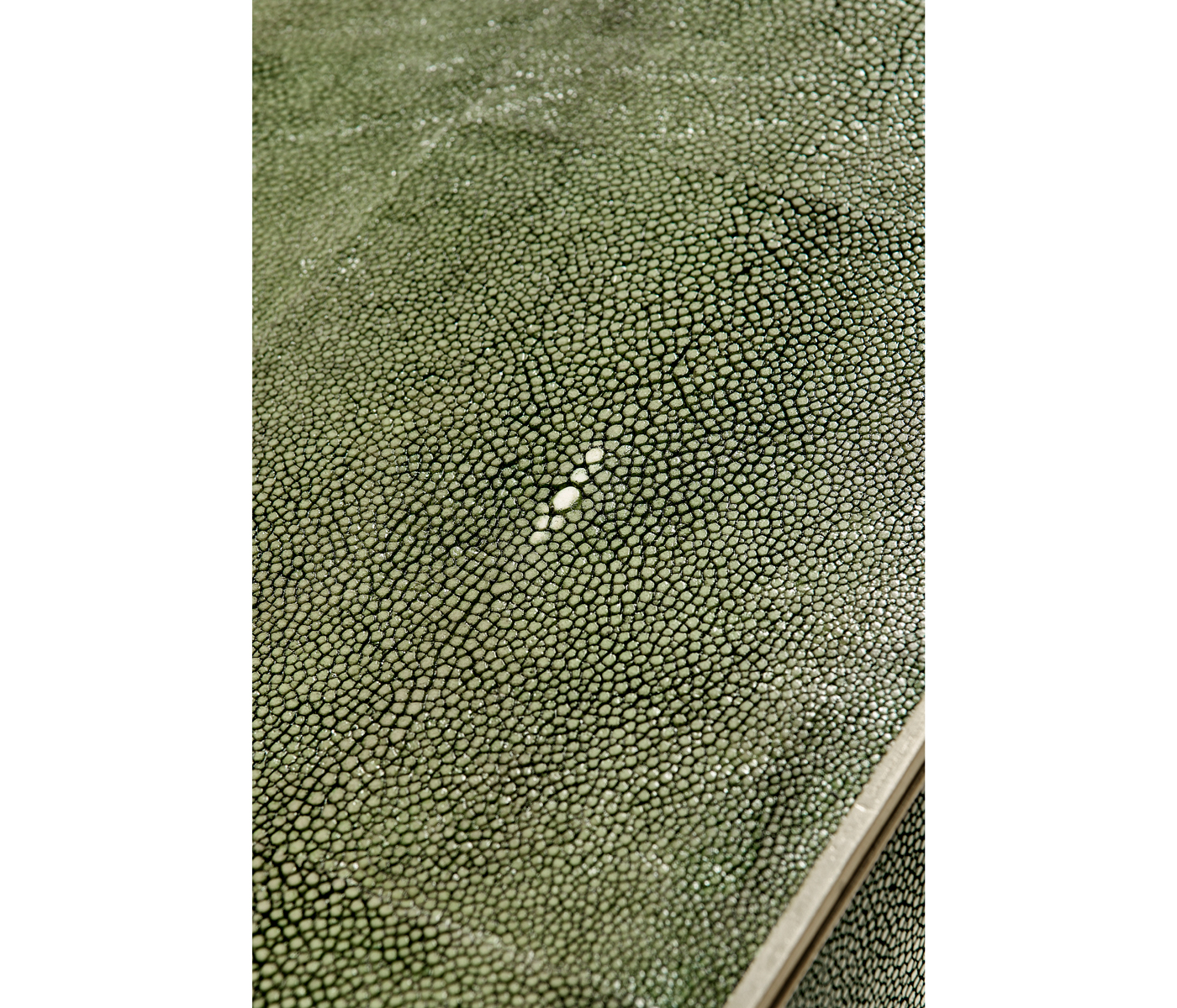 Green Faux Shagreen & Silver Console