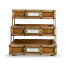 Travel Trunk Style Letter Tray