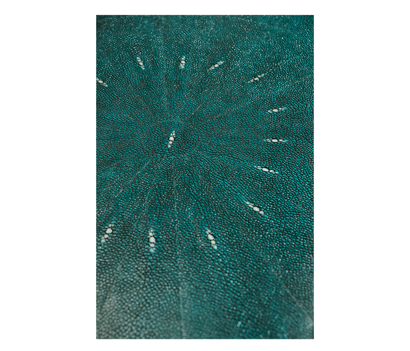 Teal Faux Shagreen and Bronze Legged Console