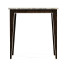 Black Eucalyptus Rectangular End Table