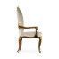 Dining Arm Chair with Gilt Carved Detailing
