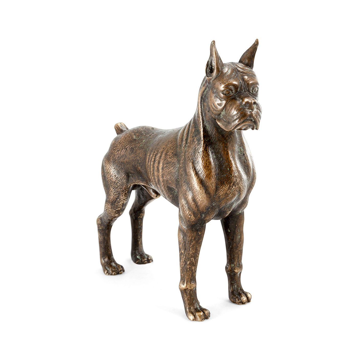 Copper Toned Bronze Boxer Dog