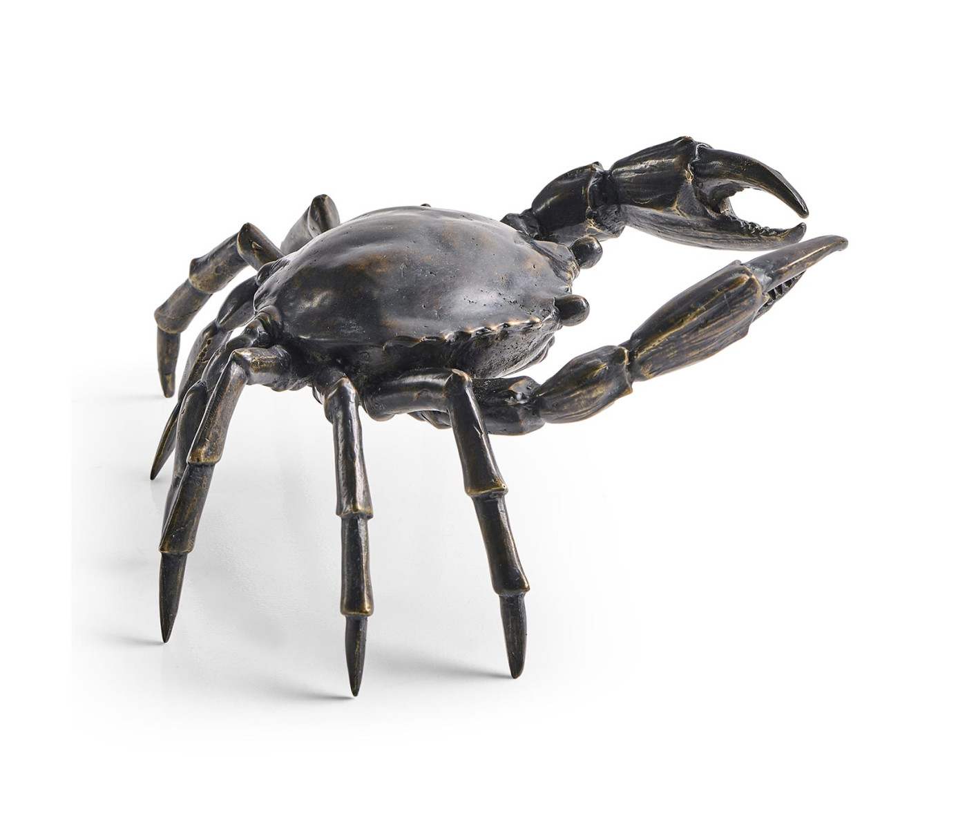 Dark Bronze Crab