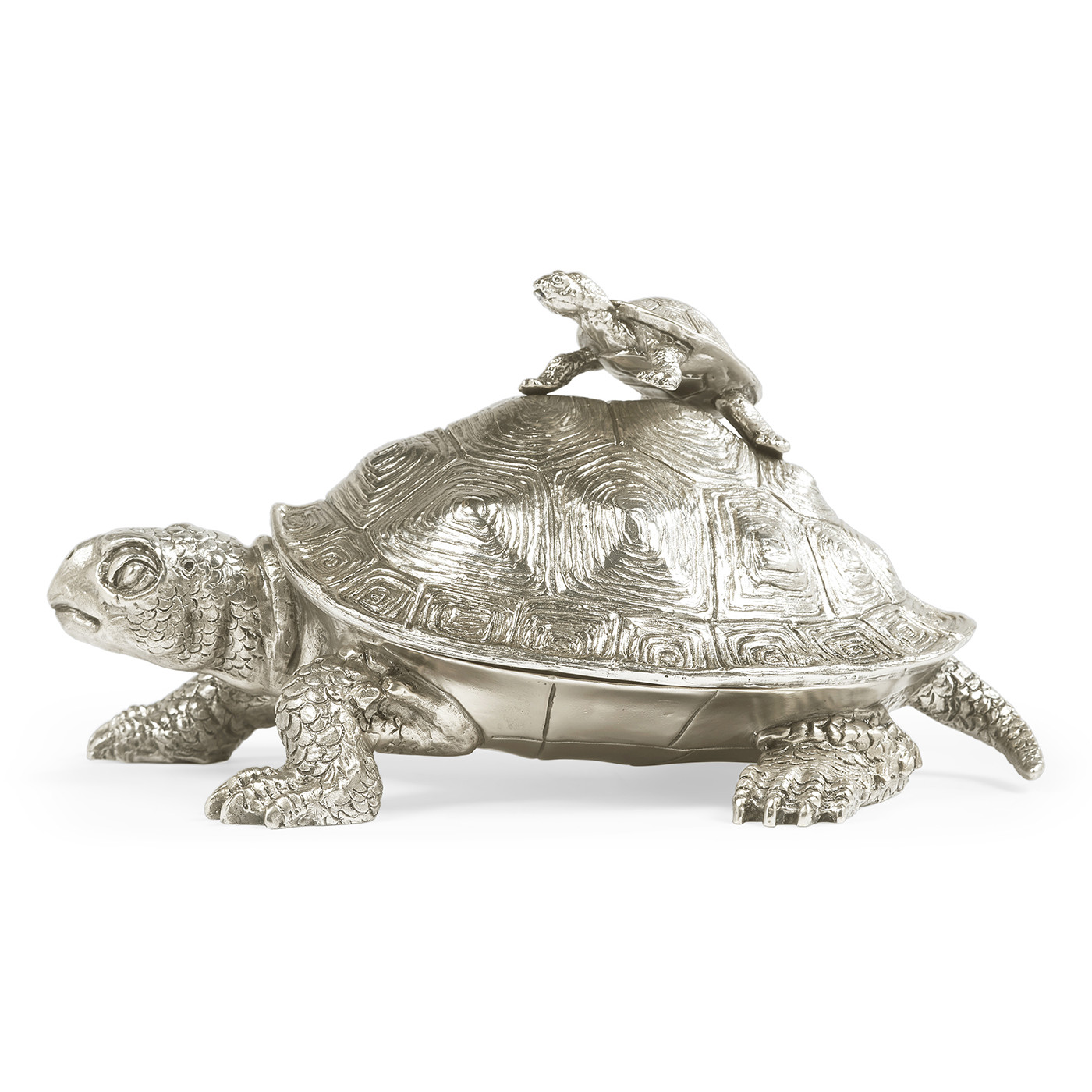 White Stainless Steel Turtle Container