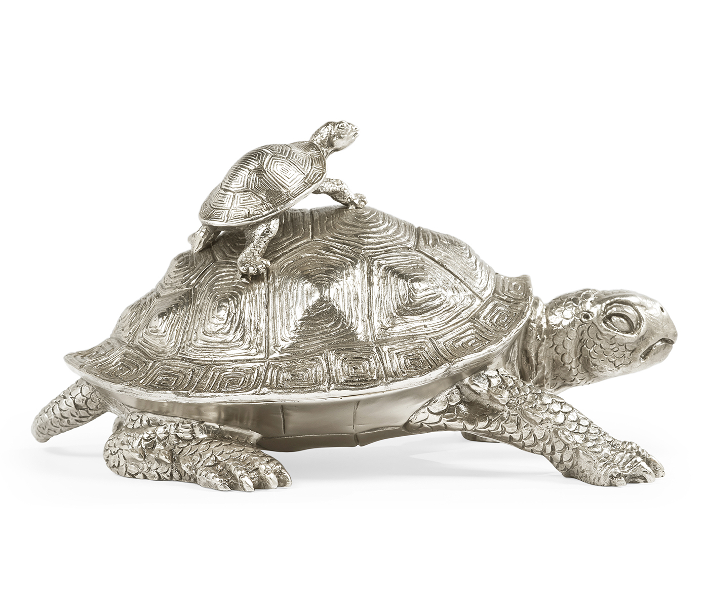 White Stainless Steel Turtle Container