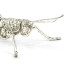 White Brass Grasshopper