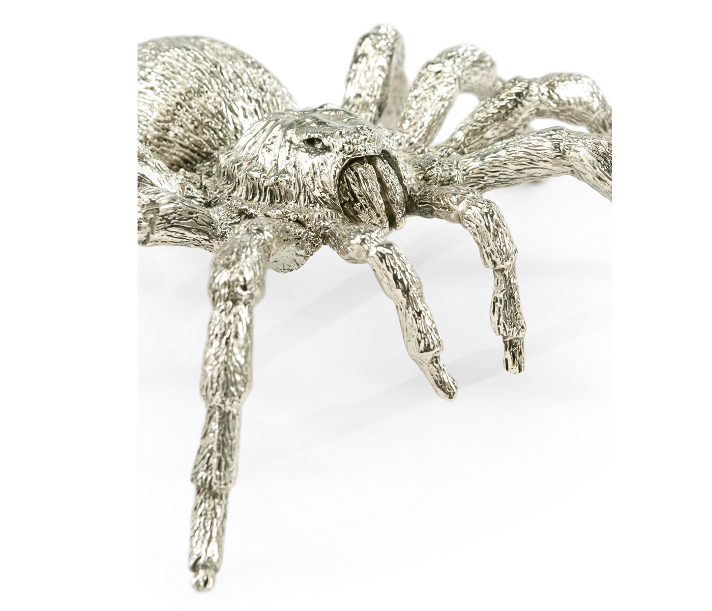White Brass Turantula