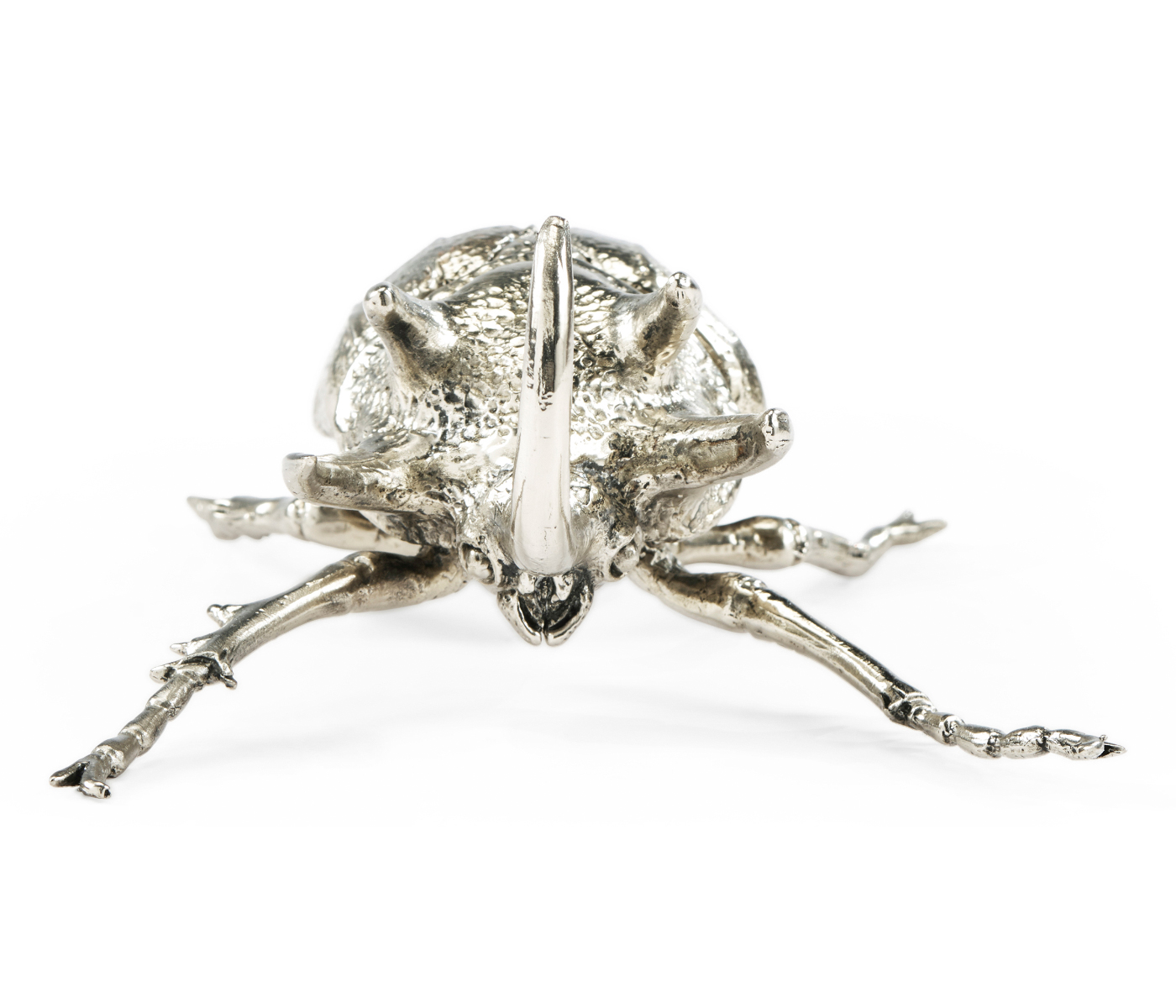 White Brass Five-Horned Rhinoceros Beetle