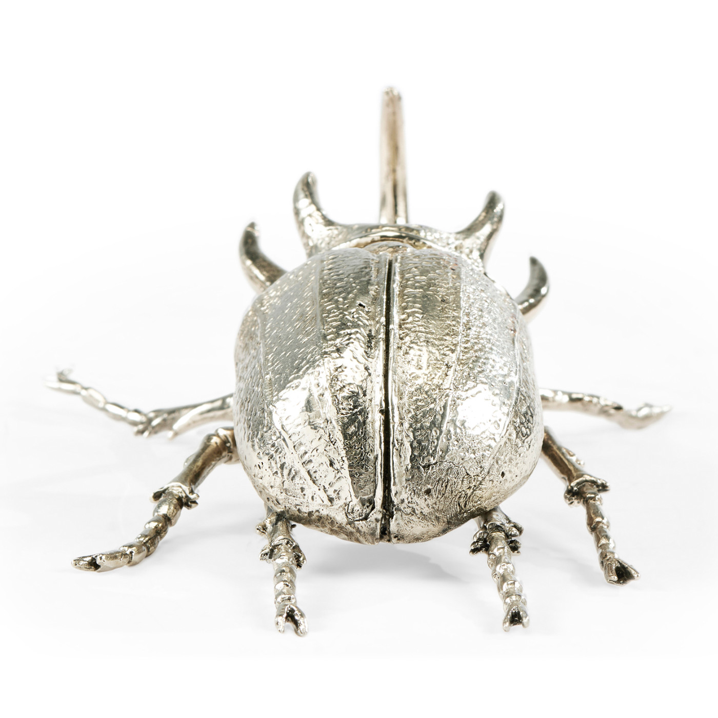 White Brass Five-Horned Rhinoceros Beetle