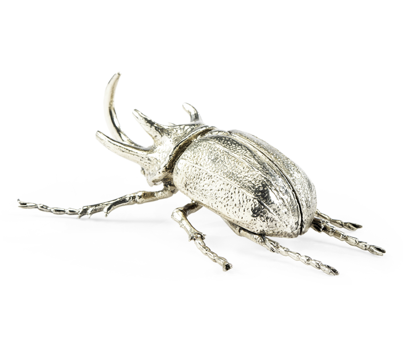 White Brass Five-Horned Rhinoceros Beetle
