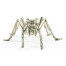 White Brass Ant