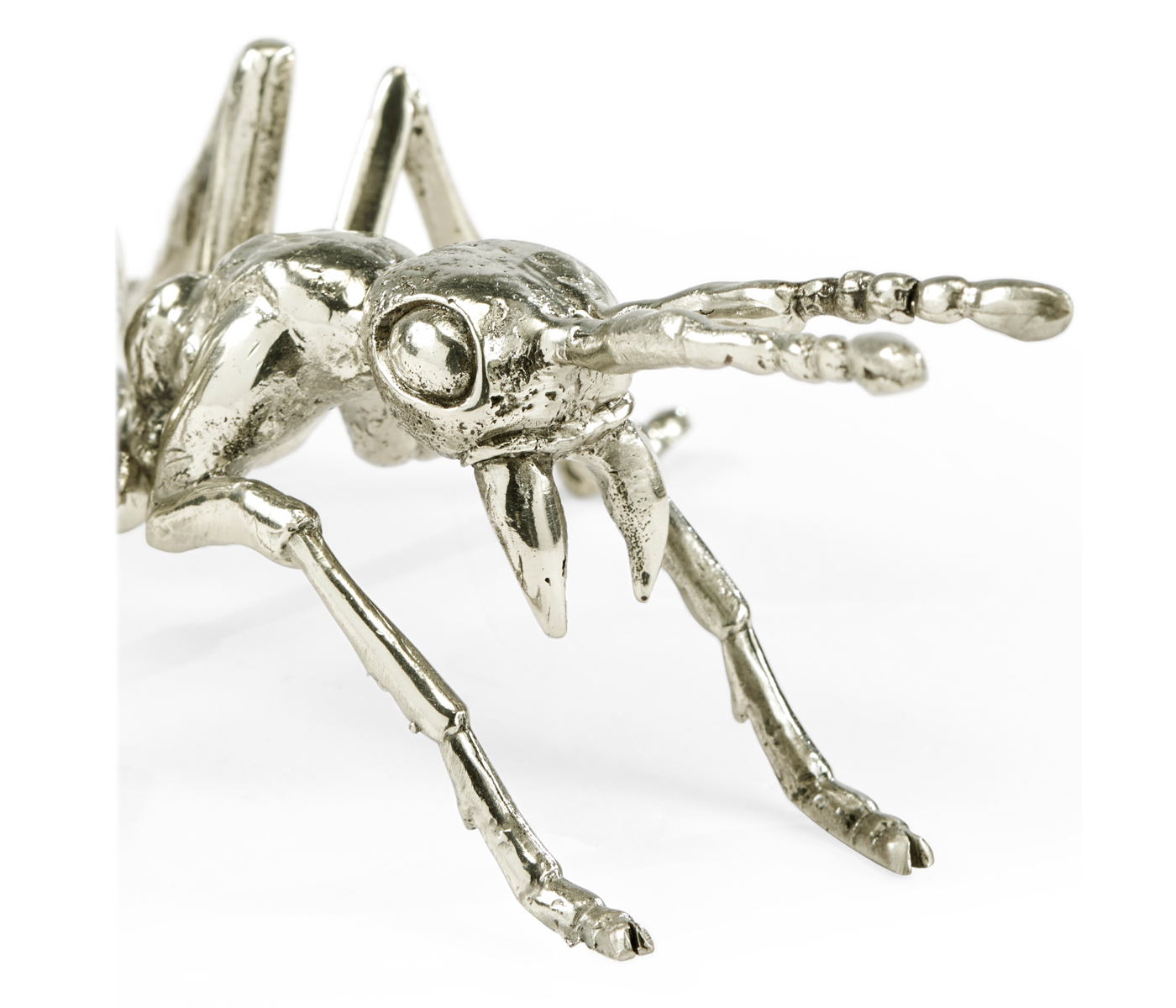 White Brass Ant