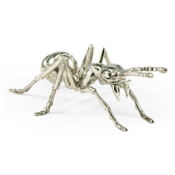 White Brass Ant