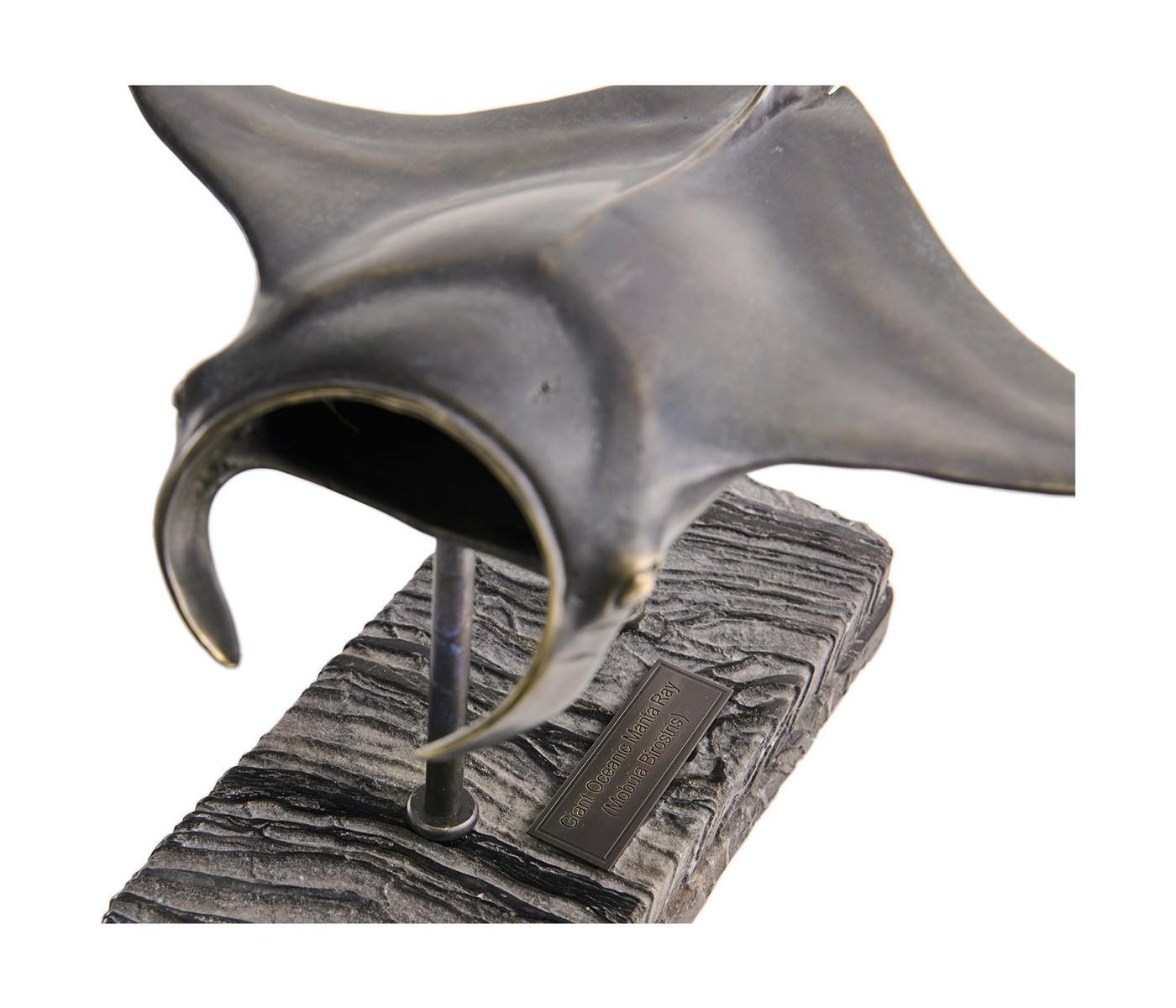 Manta Ray Bronze Statue with Marble Base