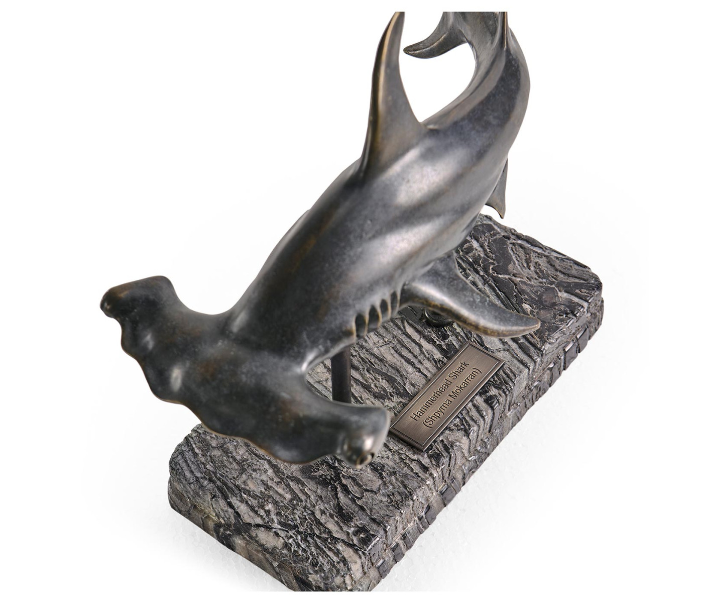 Arc Hammerhead Shark Bronze Statue with Marble Base