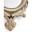 Leicester Mirror