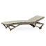 Grey Chaise Lounge on Wheels with a Retractable Drink Holder & Cushion