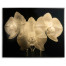 Gold Orchid