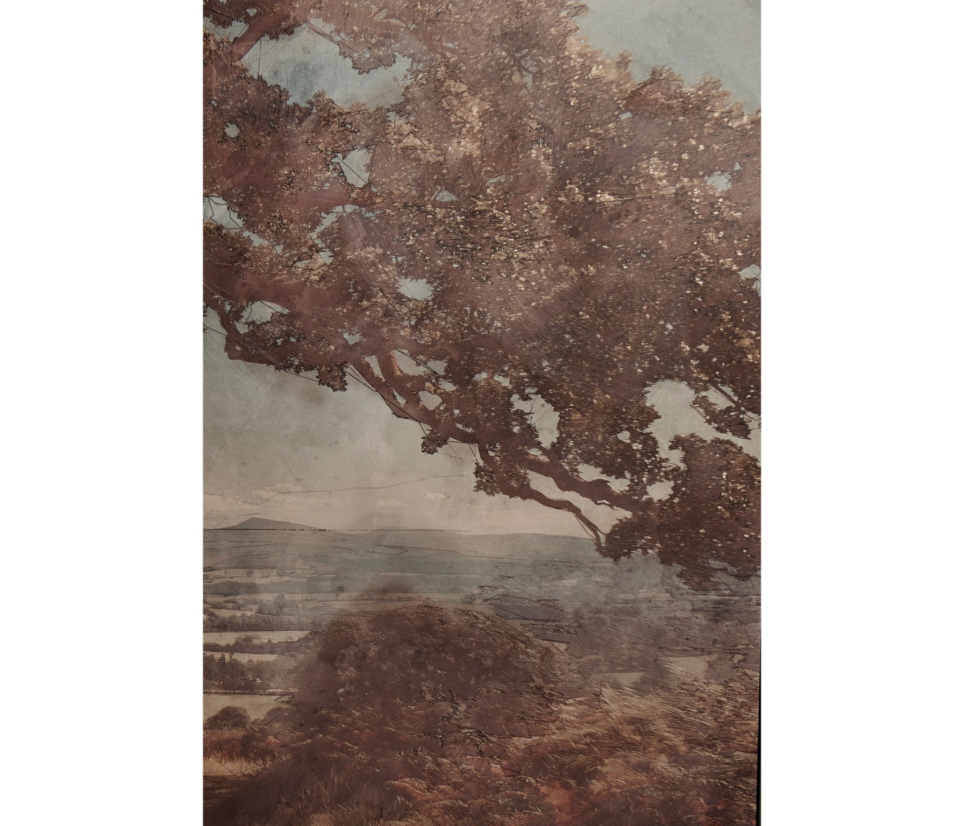 English Rolling Hills