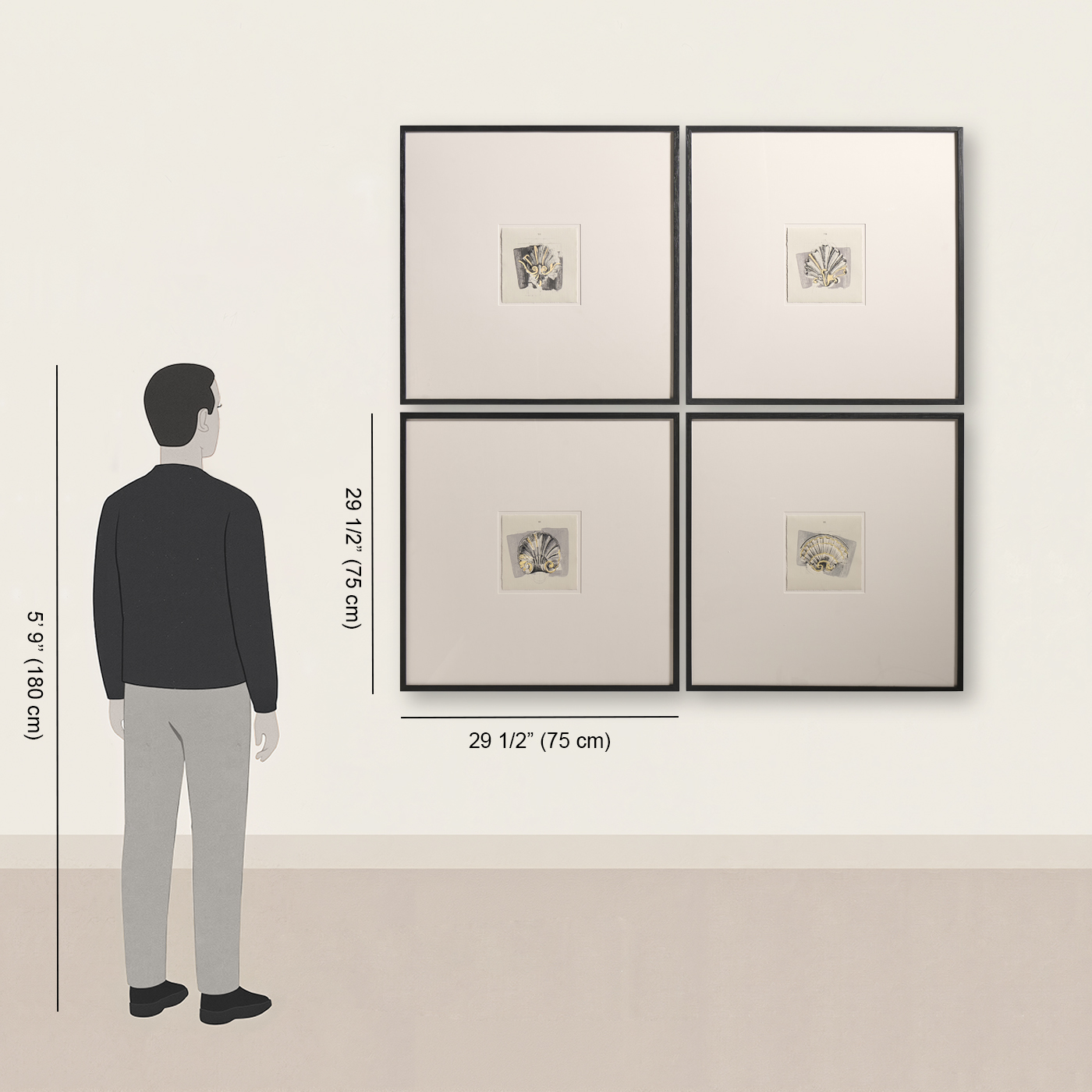 Architectural Clamshells - Set of 4