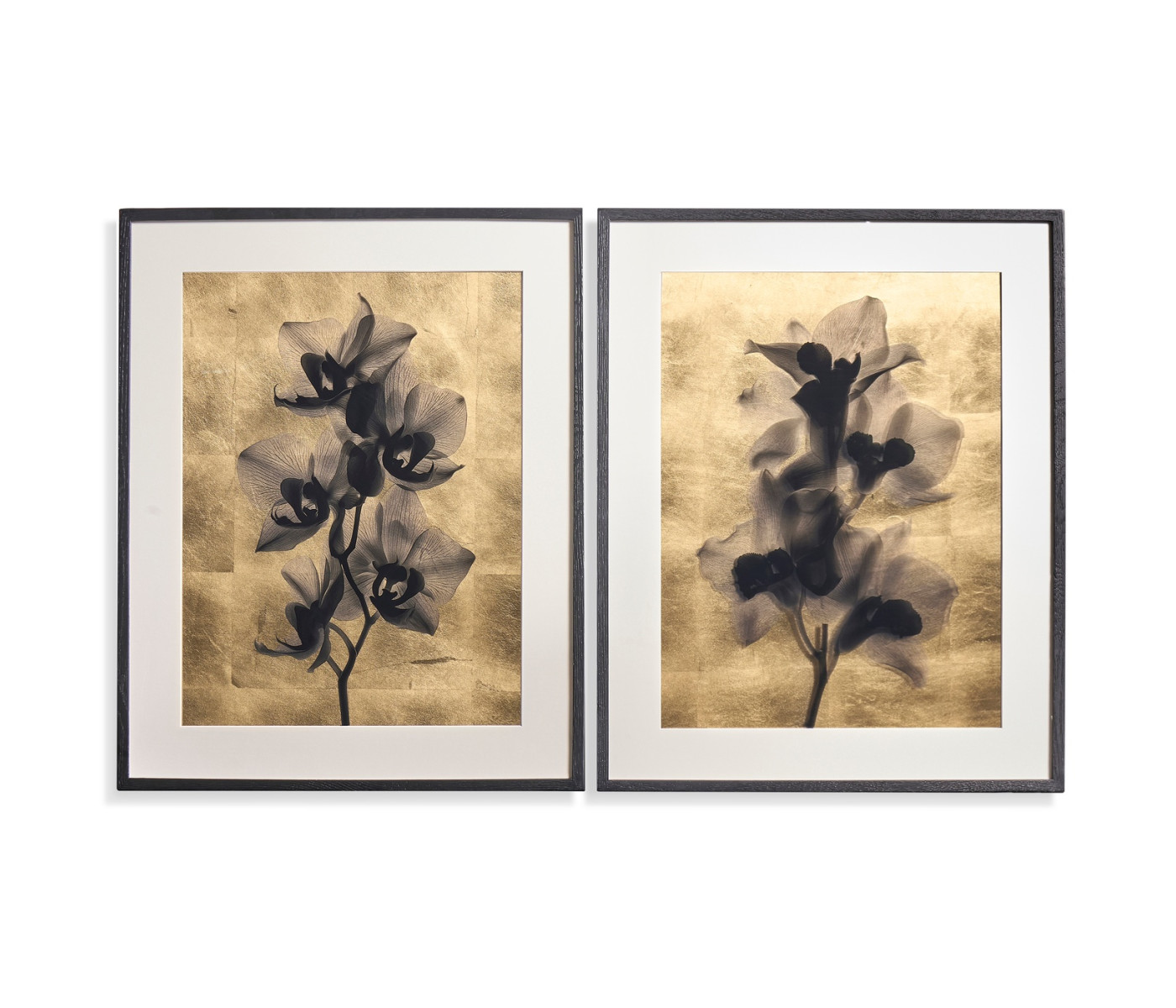 Black Orchids - Set of 2
