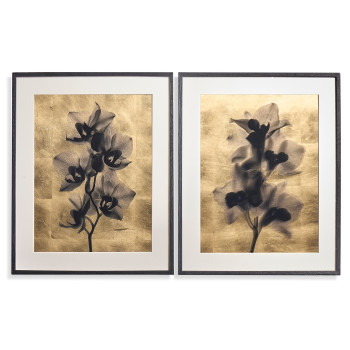 Black Orchids - Set of 2