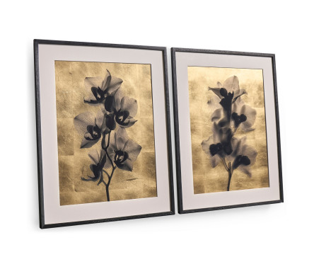 Black Orchids - Set of 2