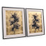 Black Orchids - Set of 2