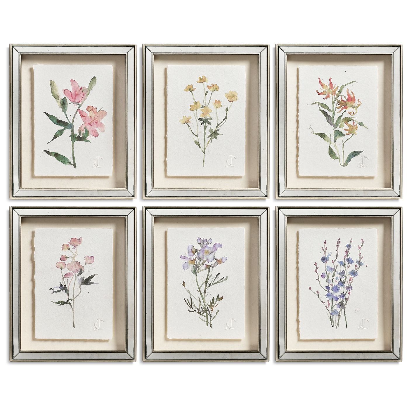 Petals and Process - Set of 6