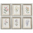 Petals and Process - Set of 6