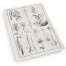 Botanica: The Art of Knowledge - Set of 4