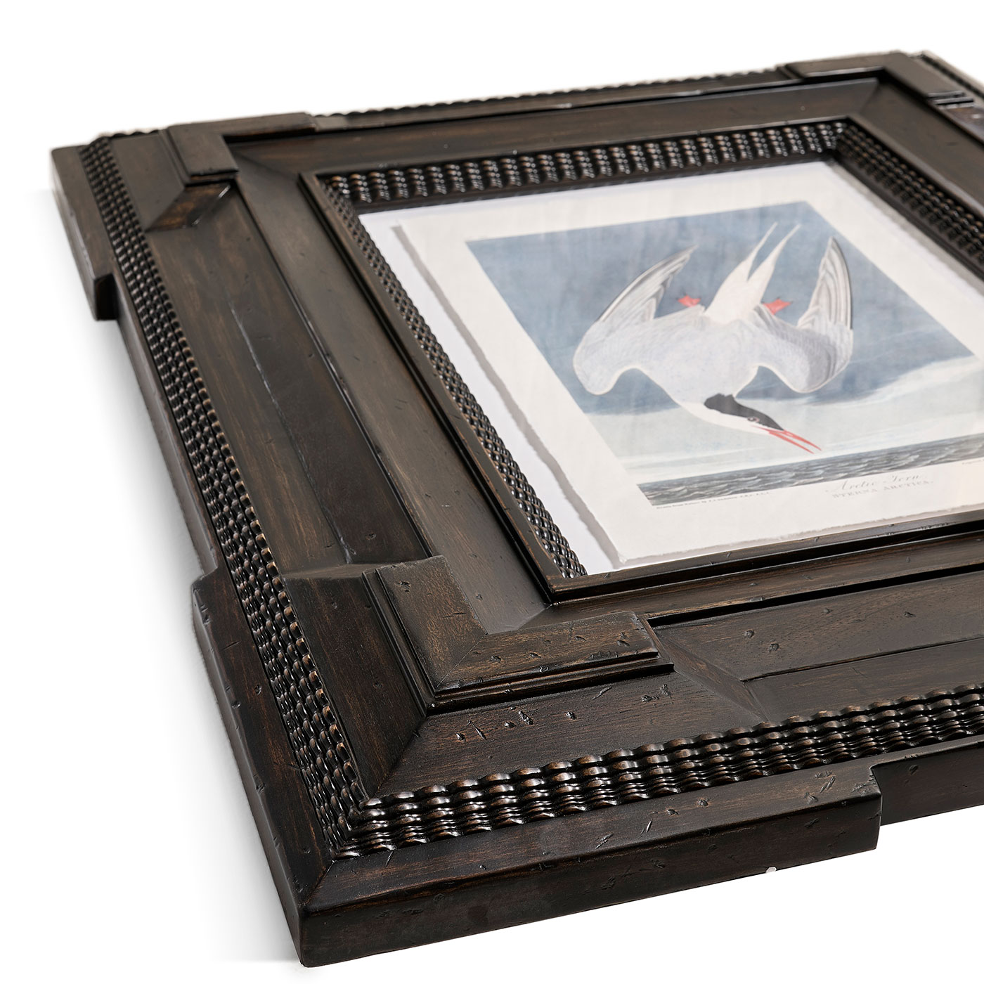 Audubon Birds - Set of 6