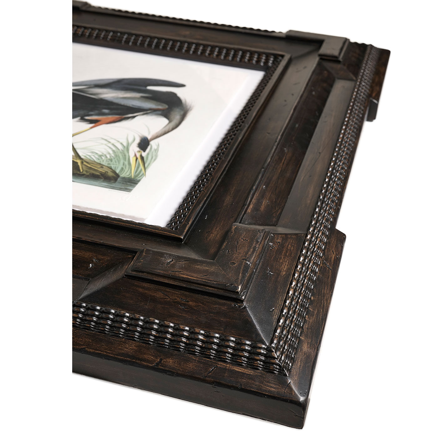 Audubon Birds - Set of 6