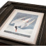 Audubon Birds - Set of 6