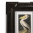 Audubon Birds - Set of 6