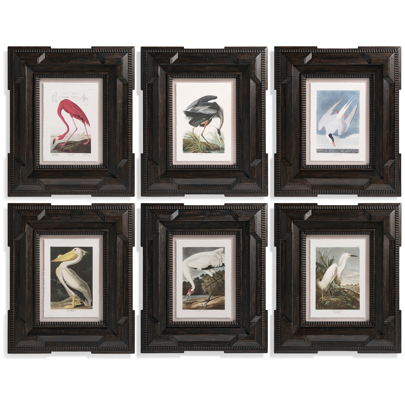 Audubon Birds - Set of 6