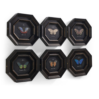 Wings of Discovery – Set of 6