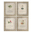 Herbal of Enlightenment - Set of 4