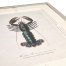 Vintage Marine Animals - Set of 4
