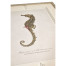 Vintage Marine Animals - Set of 4