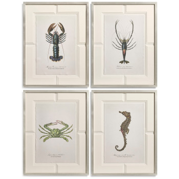 Vintage Marine Animals - Set of 4