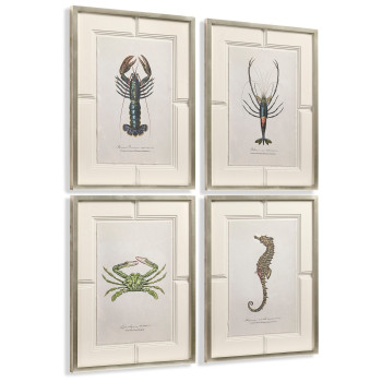 Vintage Marine Animals - Set of 4