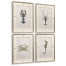 Vintage Marine Animals - Set of 4