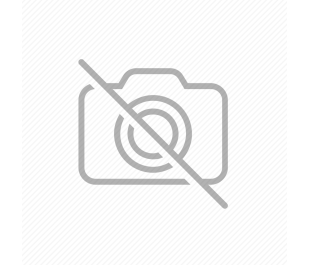 LDS - Palmyra Temple