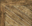 DTM